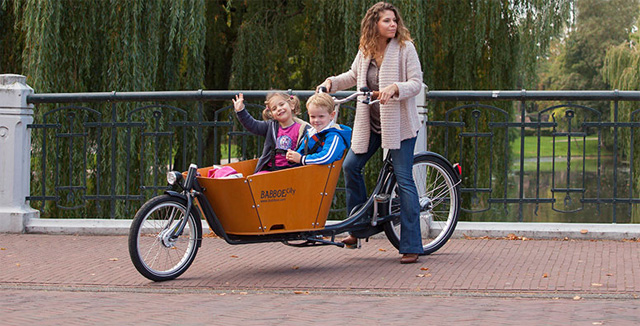 Велоприцепы для перевозки детей: советы при выборе, лучшие модели, отзывы родителей