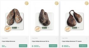 natural beaver castoreum buy in Russia with Aukciony